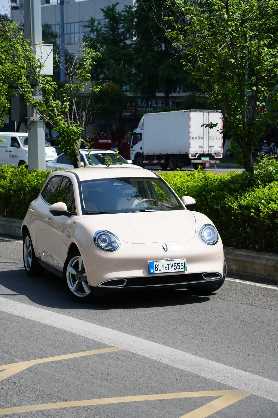 ORA Euler good cat Euler good cat 2023 401km standard range luxury lithium iron phosphate 2023 — thumbnail 5