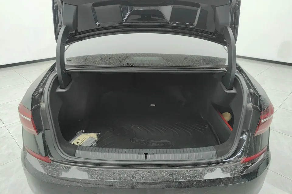 Volkswagen Passat Passat 2024 Outstanding Model 380TSI Starry Sky Dragon Edition 2024 — миниатюра 4