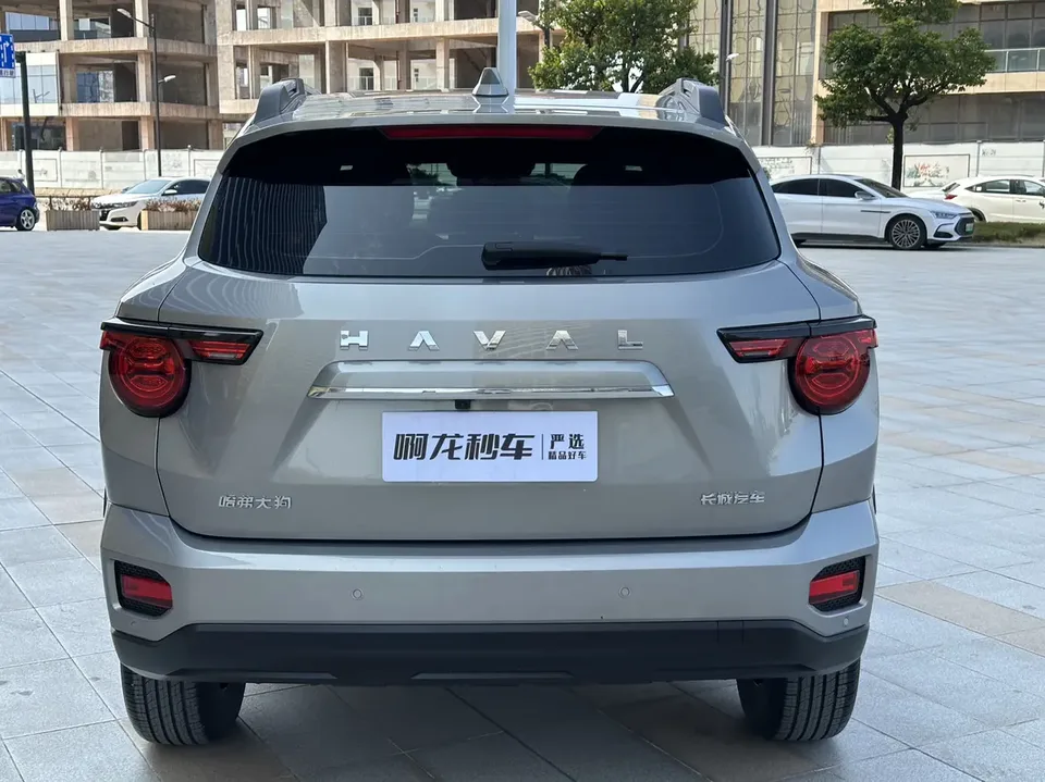 Haval Big Dog PLUS 1.5T 2WD Trendy Wild Edition Plus 2023 — миниатюра 2