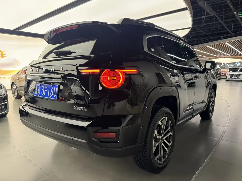 Haval Big Dog PLUS 1.5T 2WD Trendy Wild Edition Plus 2023 — миниатюра 2