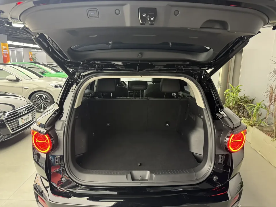 Haval Big Dog PLUS 1.5T 2WD Trendy Wild Edition Plus 2023 — миниатюра 4
