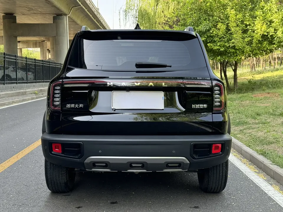 Haval Dargo Haval Big Dog 2024 1.5T 2WD Border Collie Edition 2025 — миниатюра 2