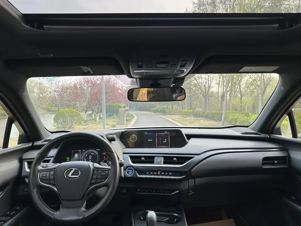 Lexus UX EV 300e Pure Enjoyment 2022 — миниатюра 3