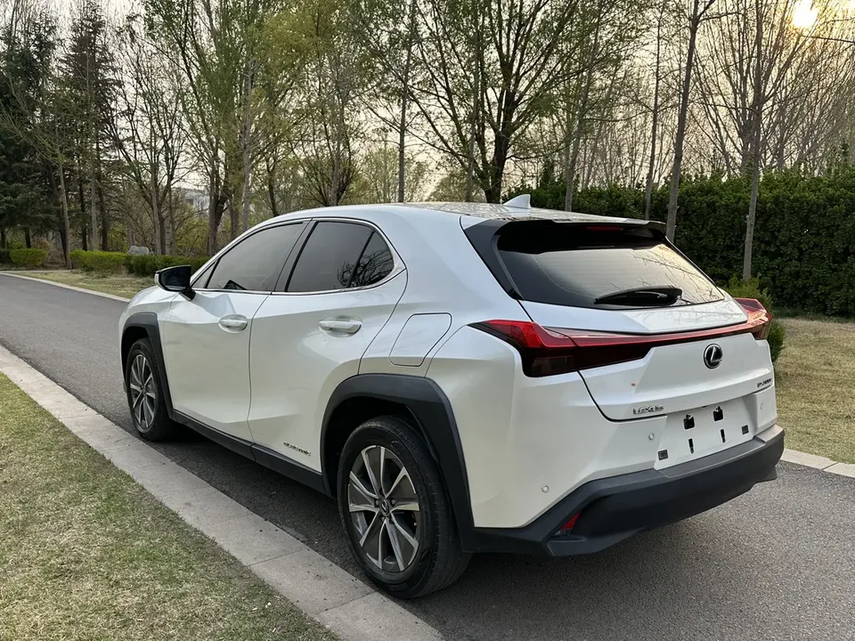 Lexus UX EV 300e Pure Enjoyment 2022 — миниатюра 5