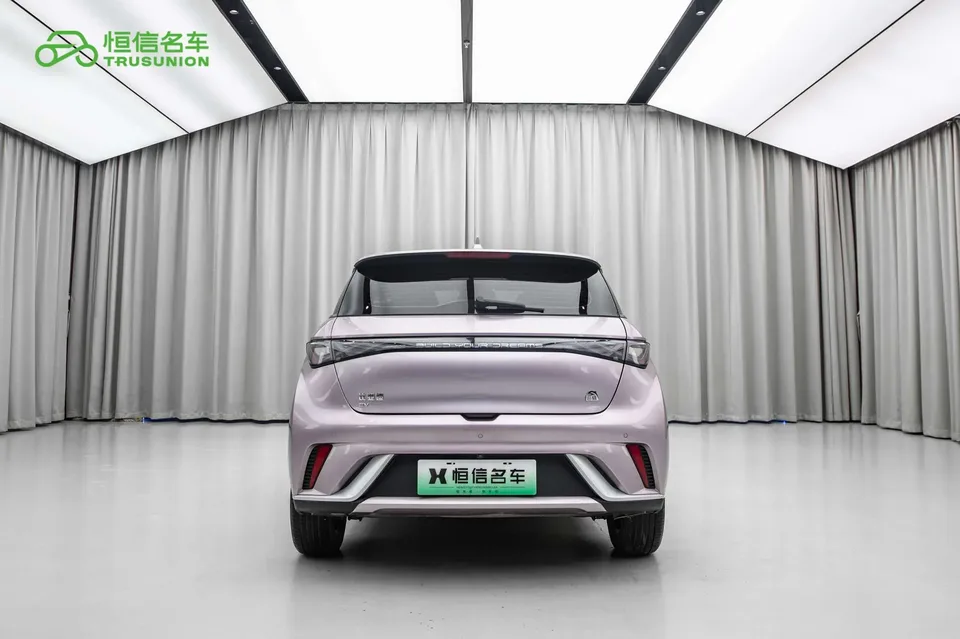 BYD Dolphin Dolphin 2023 Fashion Edition 2024 — миниатюра 2