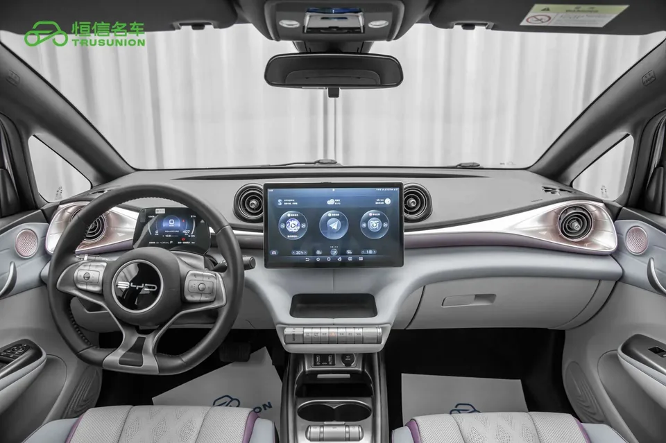 BYD Dolphin Dolphin 2023 Fashion Edition 2024 — миниатюра 4