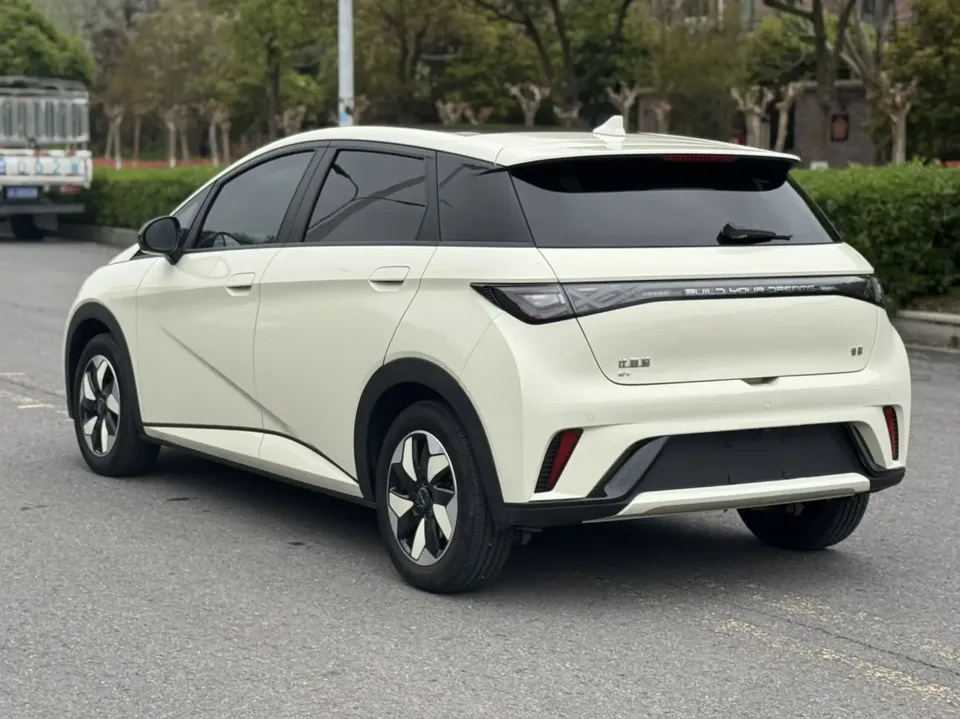 BYD Dolphin Honor Edition 420km Fashion Edition 2024 — миниатюра 5