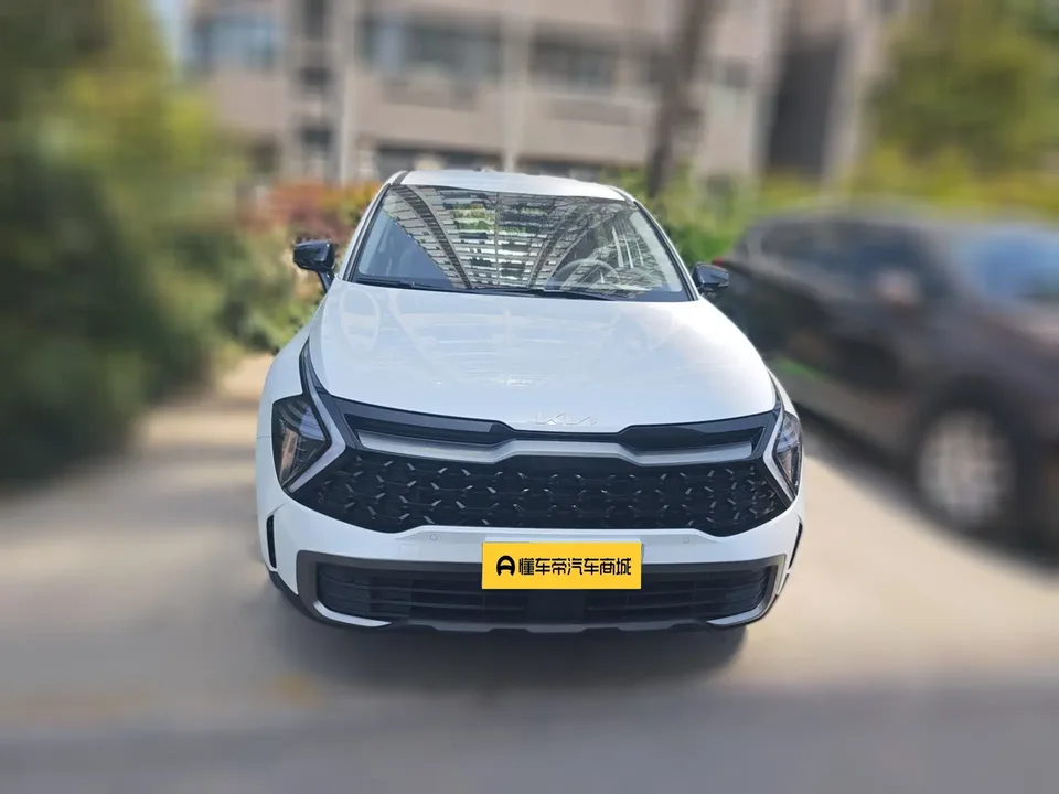 Kia Lion Platinum Expands the Boundary 2023 Lion Bo Tuojie 1.5T 2WD Luxury Edition 2024 — миниатюра 2