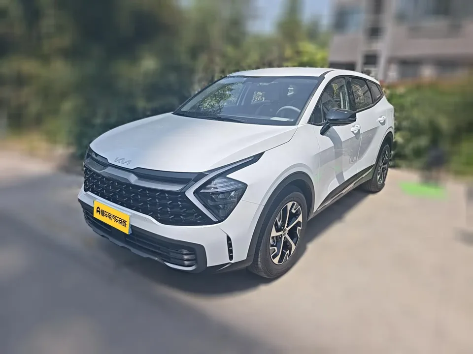 Kia Lion Platinum Expands the Boundary 2024