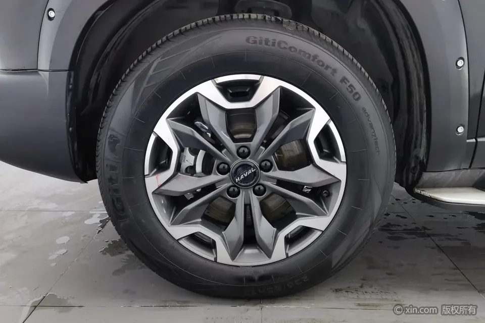 Haval Dargo 2.0T 4WD Chinese Pastoral Dog Hunting Edition 2022 — миниатюра 2