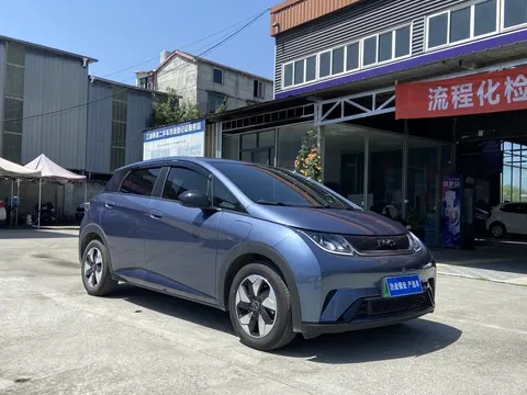 BYD Dolphin 2025 buy in Moscow