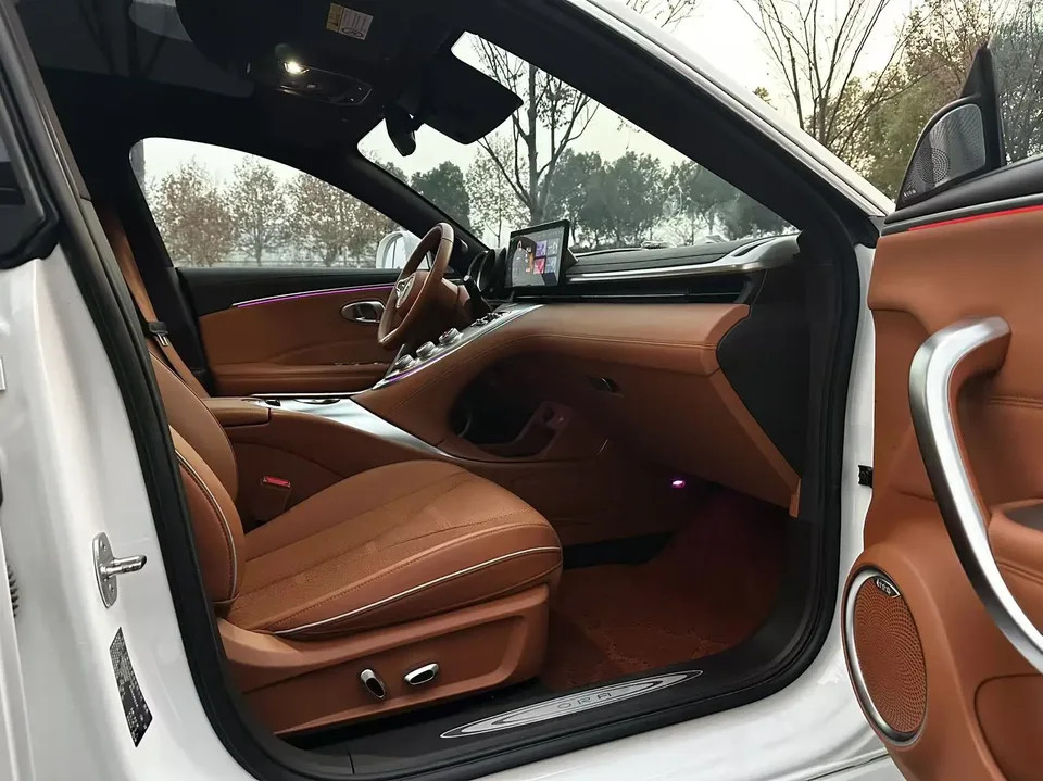 ORA Euler lightning cat 555km Premium Edition 2023 — миниатюра 3
