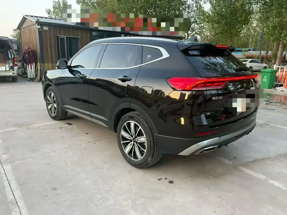 Haval H6 National Trend Edition 1.5T Automatic Champion Edition 2024 — миниатюра 4