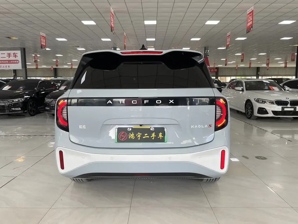 ARCFOX Extreme Fox Polar Fox Koala Family Edition AIR 2024 — миниатюра 2