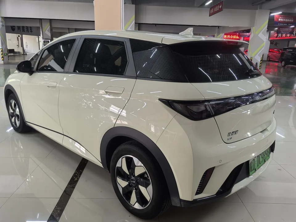 BYD Dolphin Honor Edition 420km Free Edition 2025 — миниатюра 4