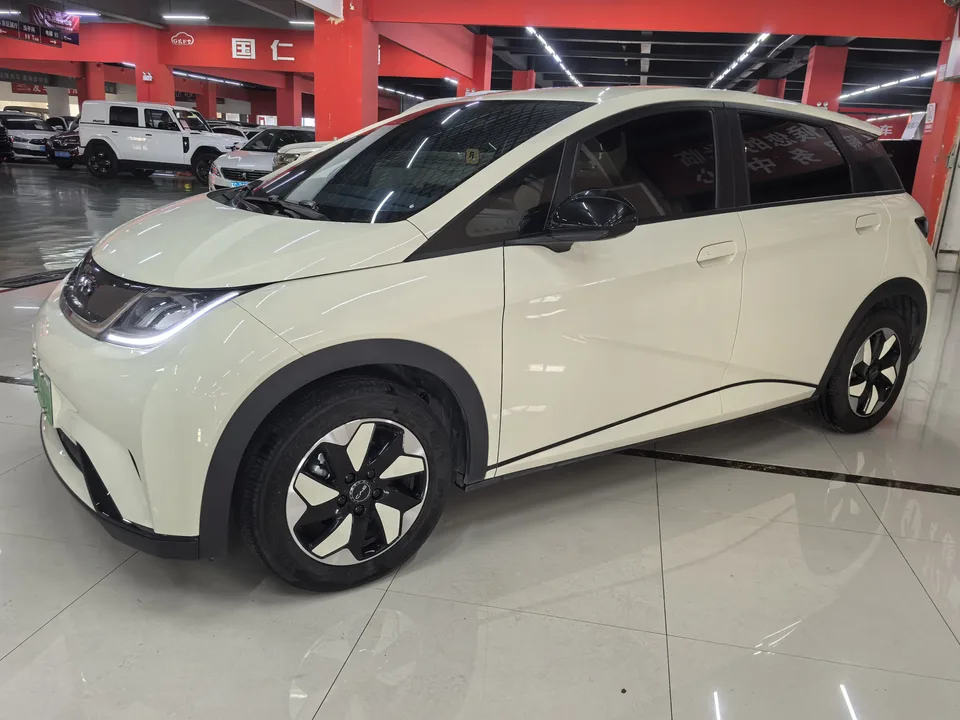 BYD Dolphin 2025