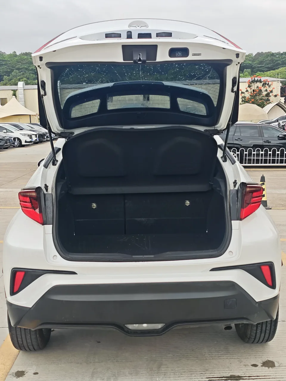 Toyota C-HR 2.0L Luxury Edition 2024 — миниатюра 4