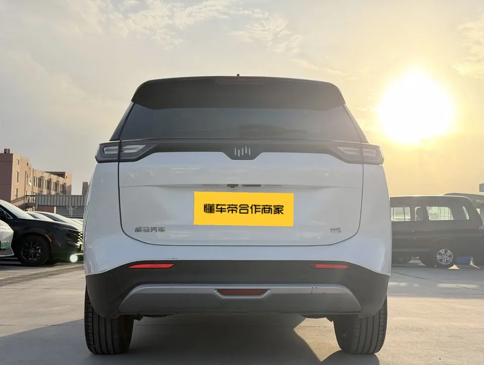 Weltmeister Weimar W6 520km PRO All-Round Edition 2022 — миниатюра 2