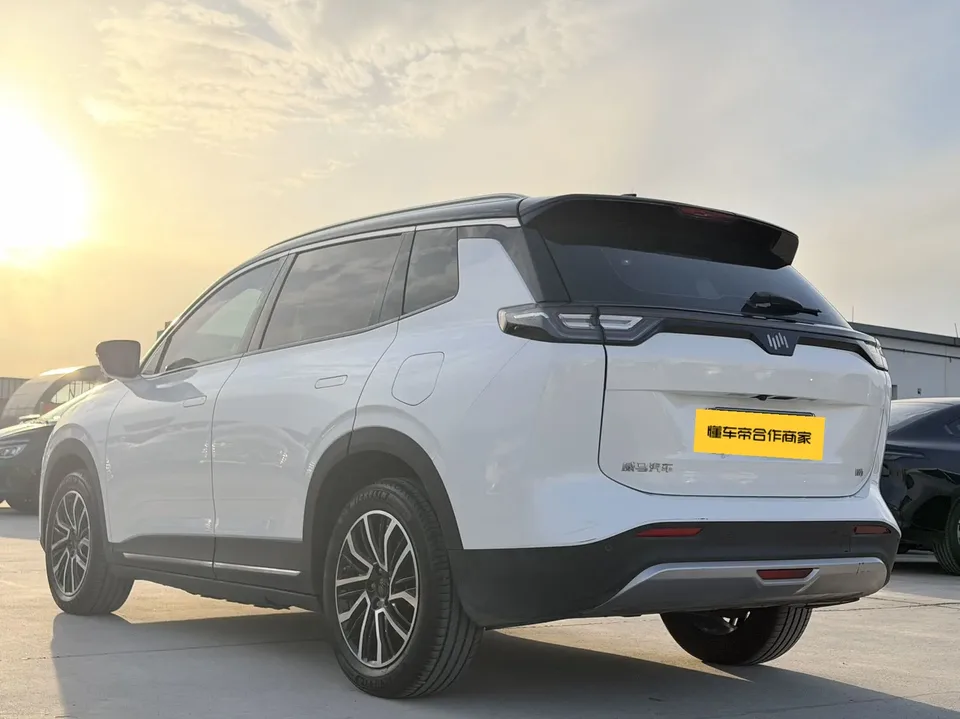 Weltmeister Weimar W6 520km PRO All-Round Edition 2022 — миниатюра 4
