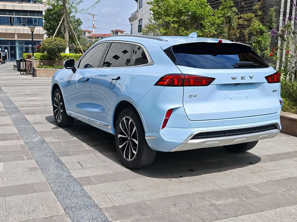 WEY Mocha 2.0T two-wheel drive special version 2022 — миниатюра 2