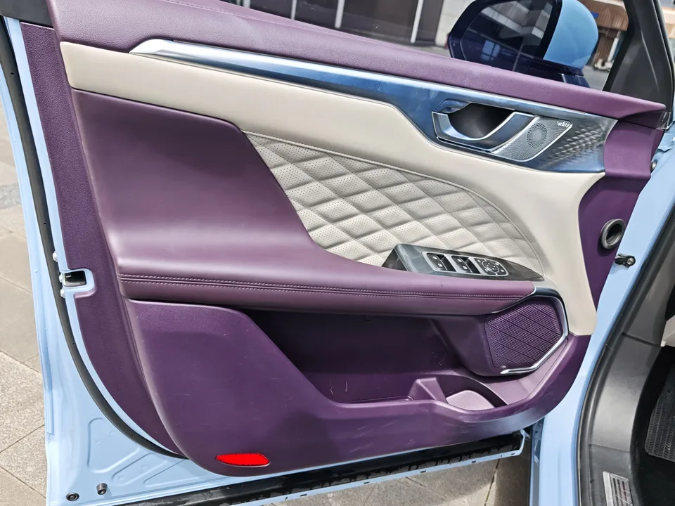 WEY Mocha 2.0T two-wheel drive special version 2022 — миниатюра 3