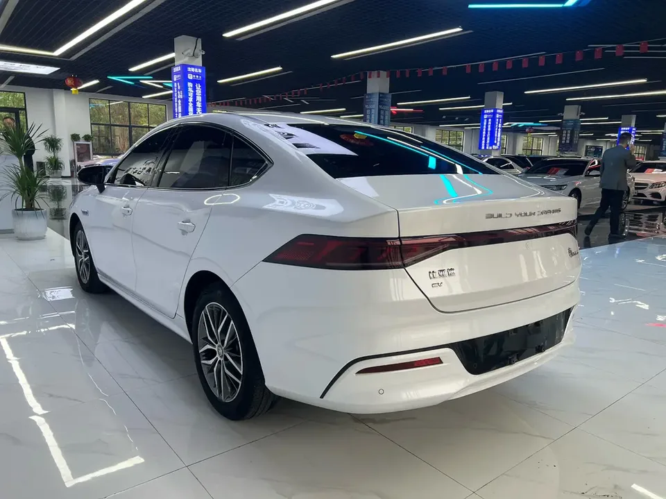 BYD Qin PLUS EV 500KM Premium Edition 2022 — миниатюра 4