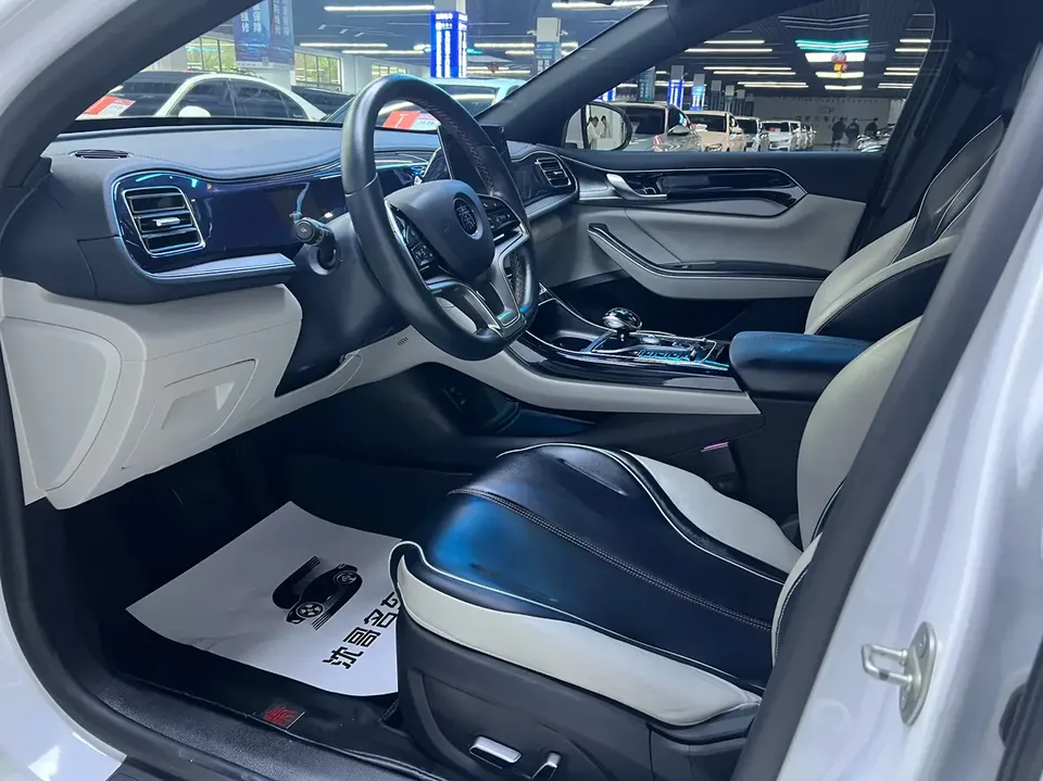 BYD Qin PLUS EV 500KM Premium Edition 2022 — миниатюра 5