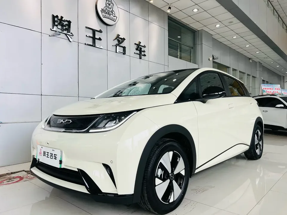 BYD Dolphin Dolphin 2023 Dolphin 2023 Fashion Edition 2024 — photo 1, buy with delivery to Moscow