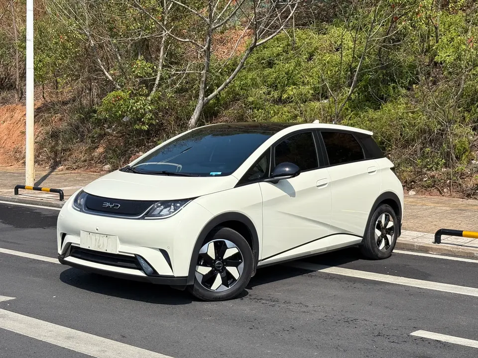 BYD Dolphin 2024
