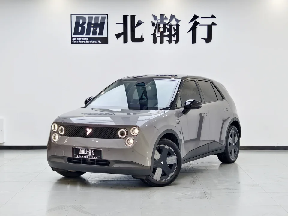 Firefly firefly firefly 2025 Luminous version 2025 — photo 1, buy with delivery to Moscow