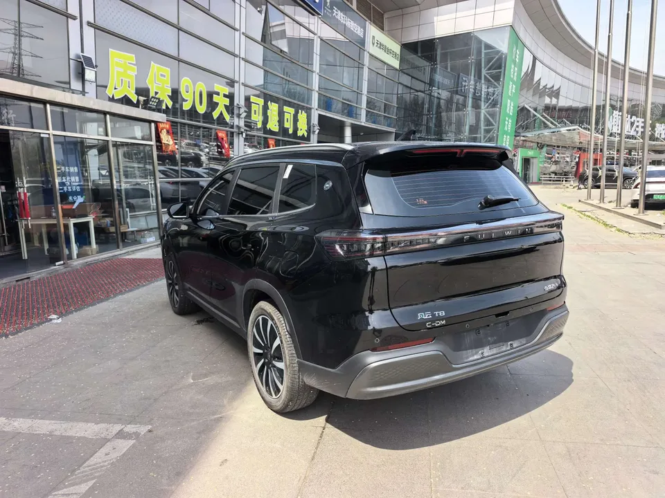 Chery Fengyun T8 1.5T 130km Premium Edition 2025 — миниатюра 4