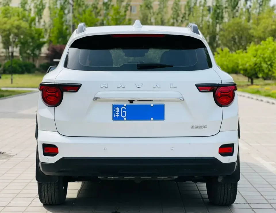 Haval Big Dog PLUS 2.0T 2WD Trendy Wild Edition 2024 — миниатюра 2