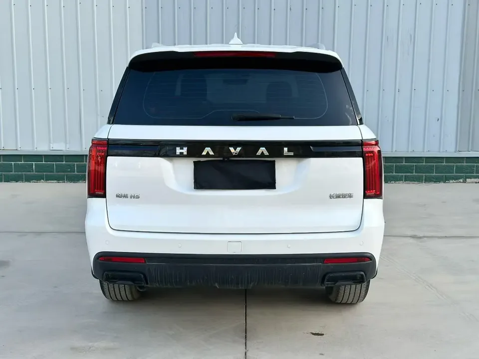Haval H5 2.0T diesel pioneer automatic four-wheel drive 2024 — миниатюра 2