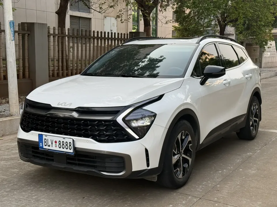 Kia Lion Platinum Expands the Boundary 2024