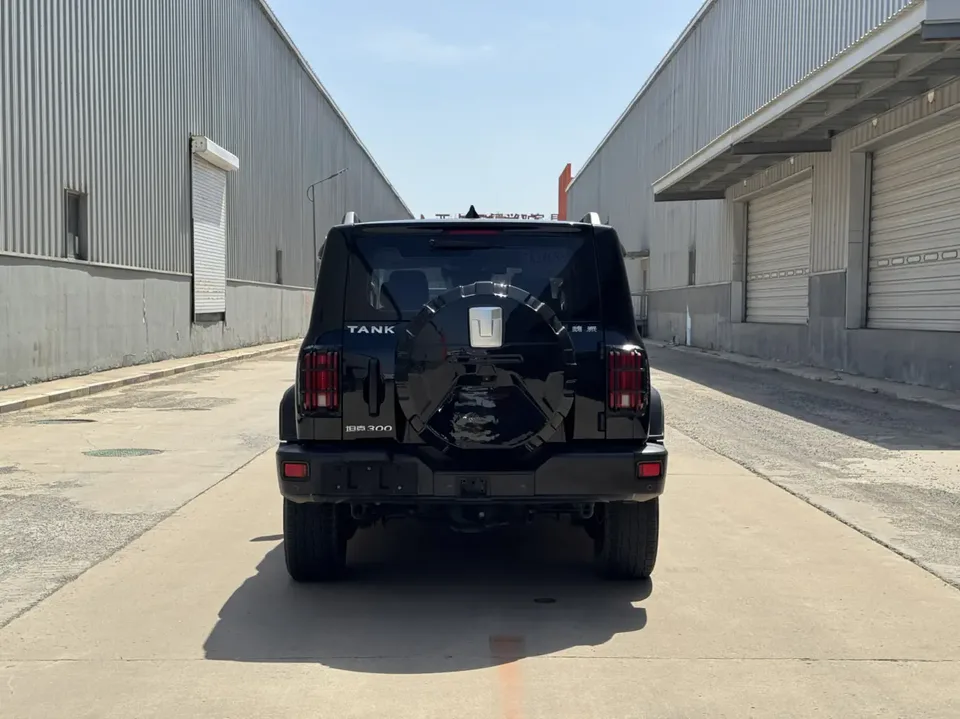 Tank 300 Tank 300 2021 Off-road version 2.0T Challenger 2022 — миниатюра 2