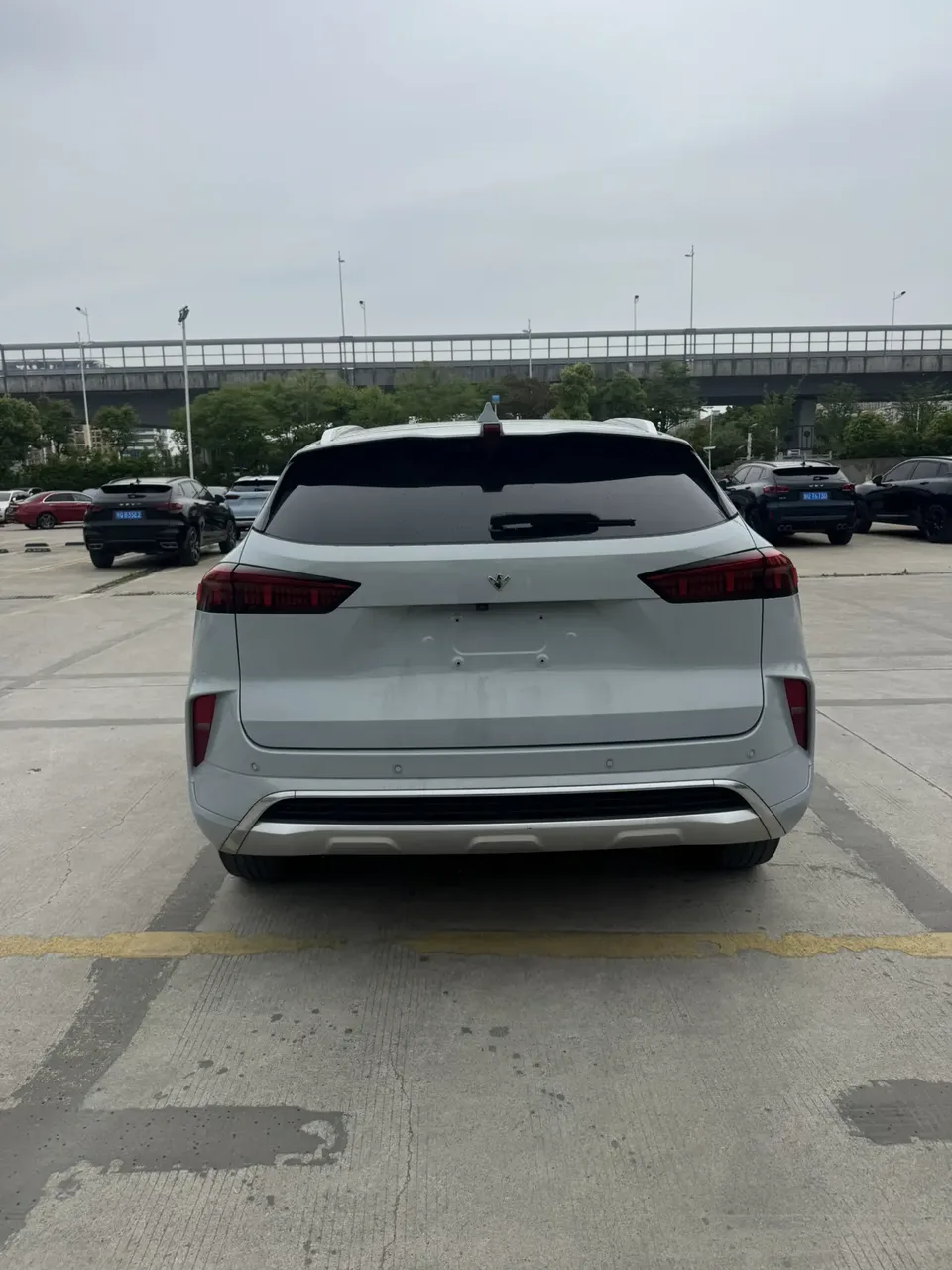 WEY Mocha 2.0T two-wheel drive special version 2022 — миниатюра 2