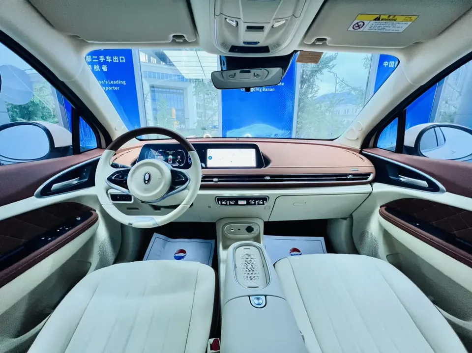ORA Euler good cat Morandi Edition 400km Standard Range Luxury Lithium Iron Phosphate 2023 — миниатюра 4