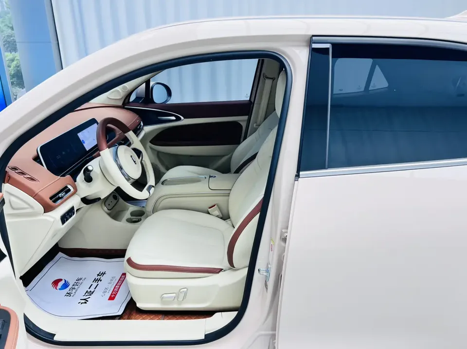 ORA Euler good cat Morandi Edition 400km Standard Range Luxury Lithium Iron Phosphate 2023 — миниатюра 5