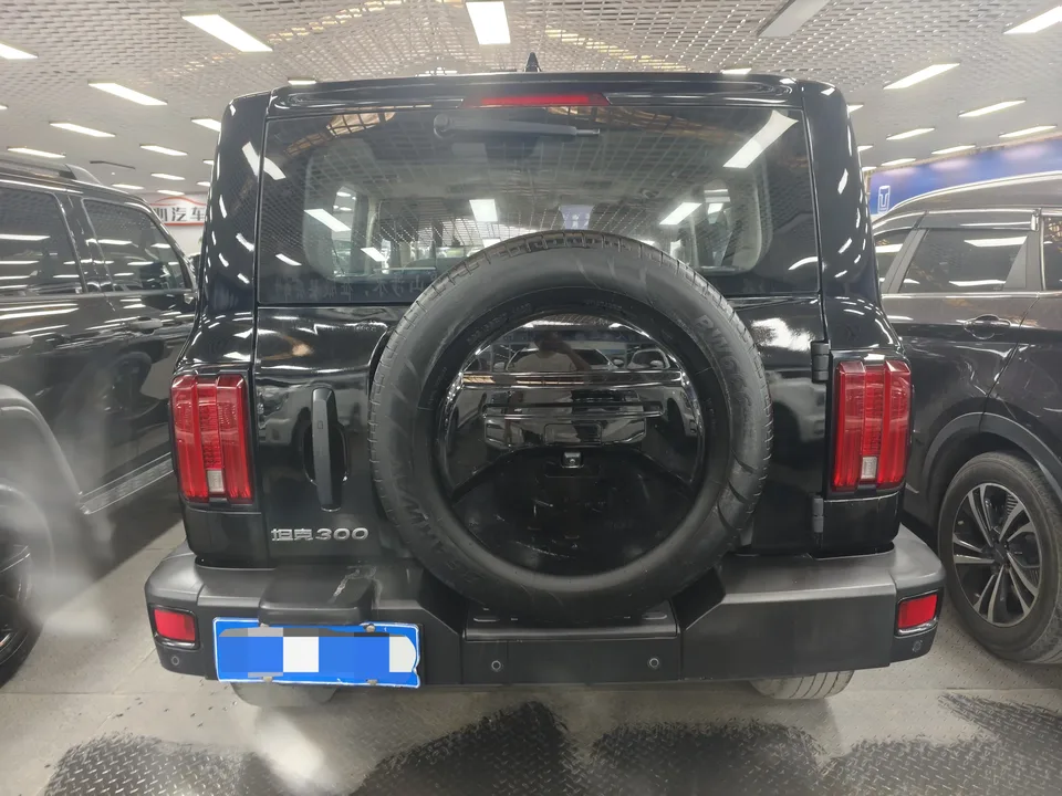 Tank 300 Tank 300 2023 off-road version 2.0T Conqueror 2023 — миниатюра 4