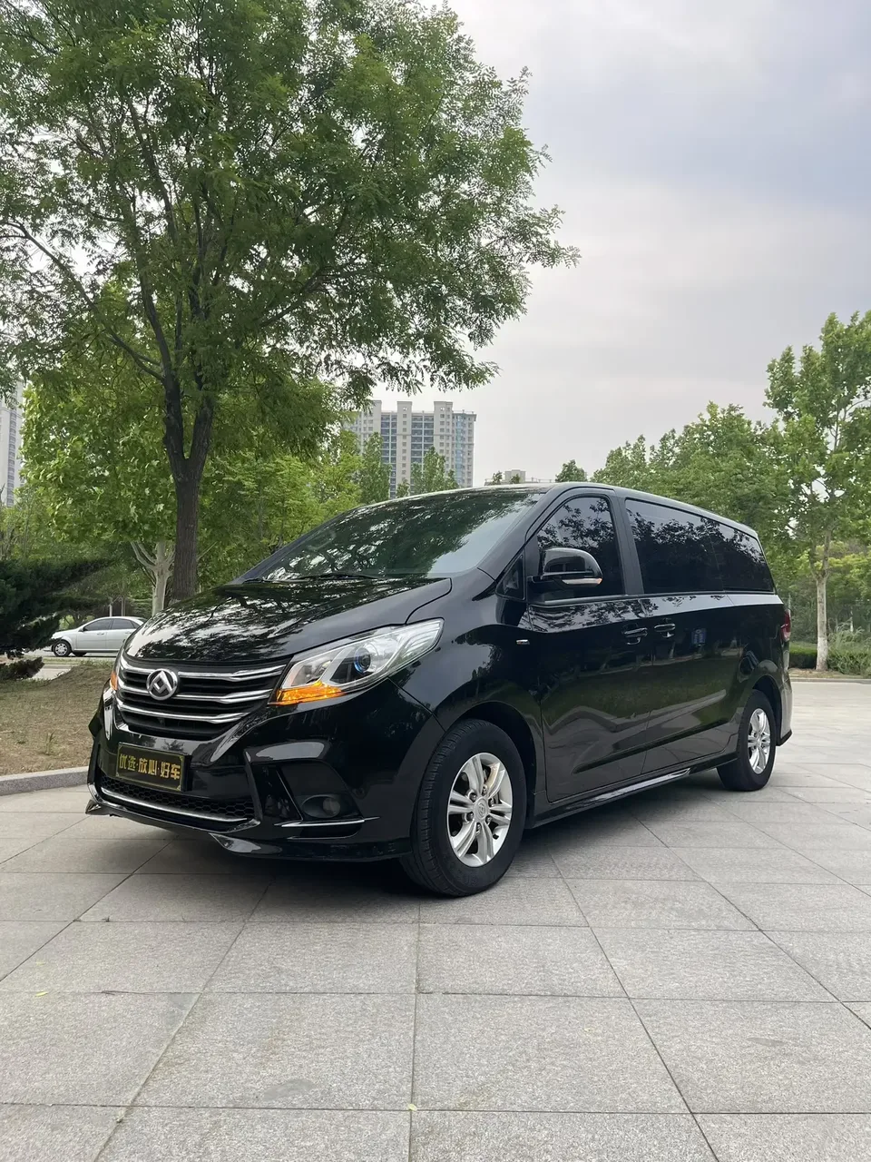 Datong Maxus G10 2022