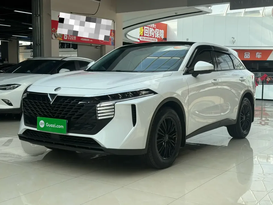 Kai Chen Venucia Big V 2024