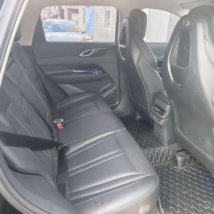 Hongqi HS3 1.5T Shanwei Edition 2023 — миниатюра 3