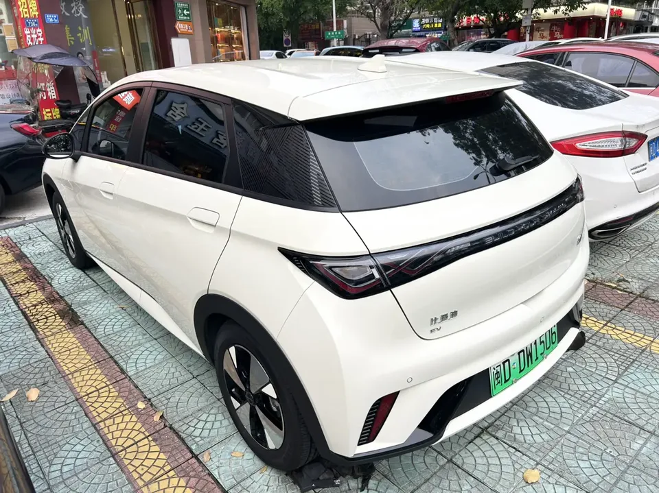 BYD Dolphin Honor Edition 420km Free Edition 2023 — миниатюра 3