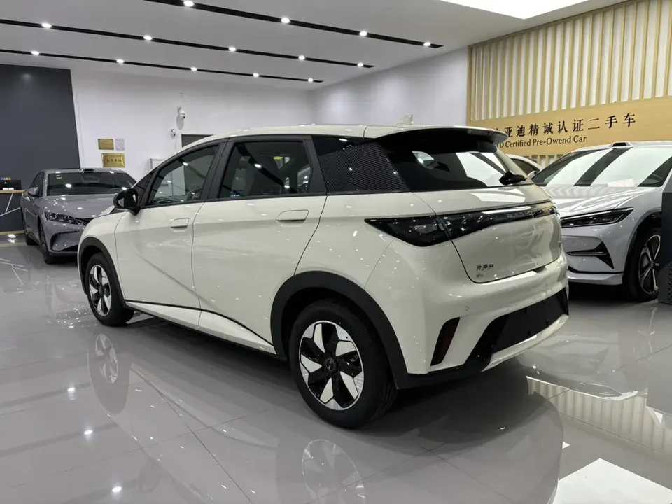 BYD Dolphin dolphin 2025 420KM Free Edition 2026 — thumbnail 2