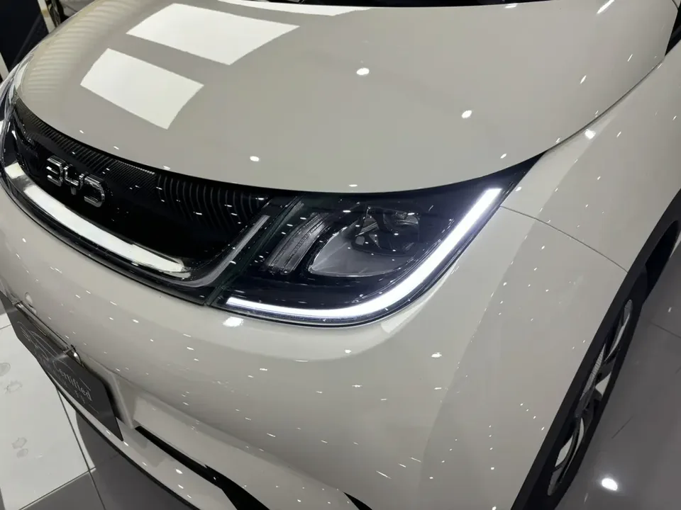 BYD Dolphin dolphin 2025 420KM Free Edition 2026 — thumbnail 3