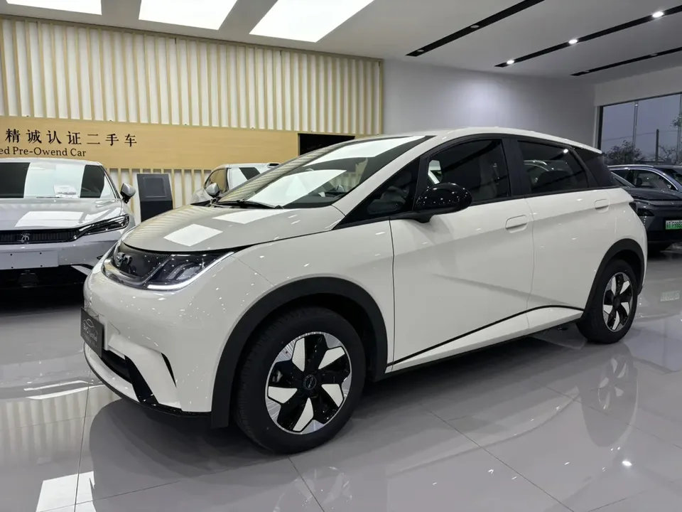 BYD Dolphin dolphin 2025 420KM Free Edition 2026 — photo 1, buy with delivery to Moscow