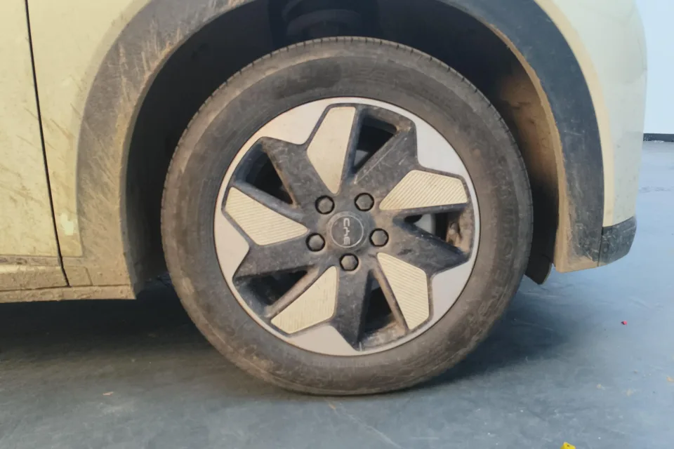 BYD Dolphin Dolphin 2025 420KM Freedom Edition 2024 — миниатюра 4