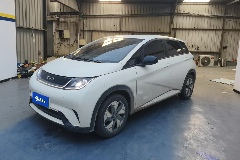 BYD Dolphin 2024