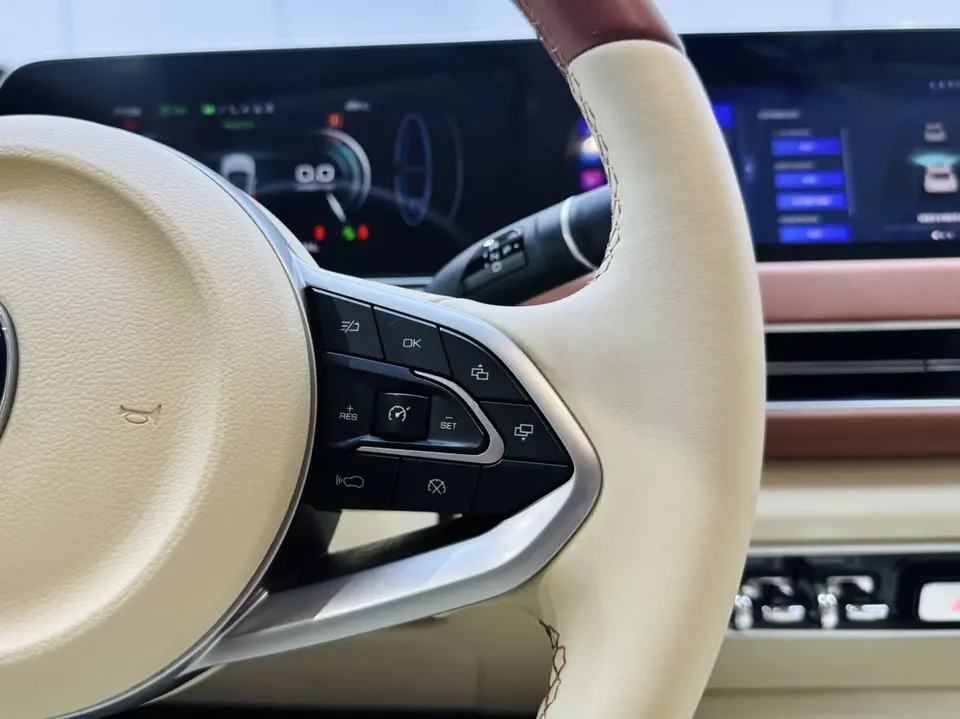 ORA Euler good cat 401km standard range luxury lithium iron phosphate 2024 — миниатюра 4