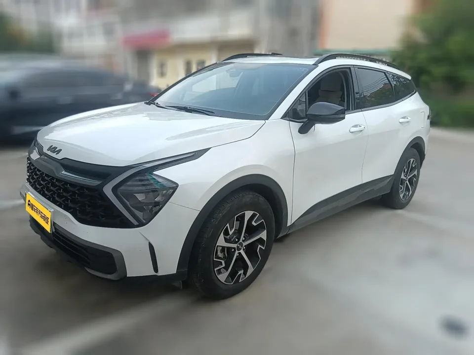 Kia Lion Platinum Expands the Boundary 2024